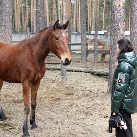 ����������...