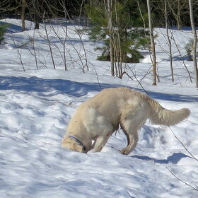 ��������� ��...