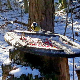 ������ ��������...